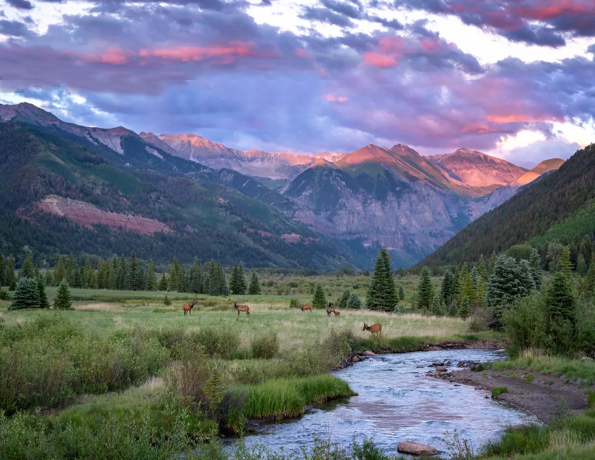 A peaceful mountain stream winds through lush forest, with wildlife visible among the trees and a dramatic mountain silhouette in the background. The sky is flushed with colors, suggesting the golden hour or early sunset. The scene invites quiet moments and tranquil exploration.