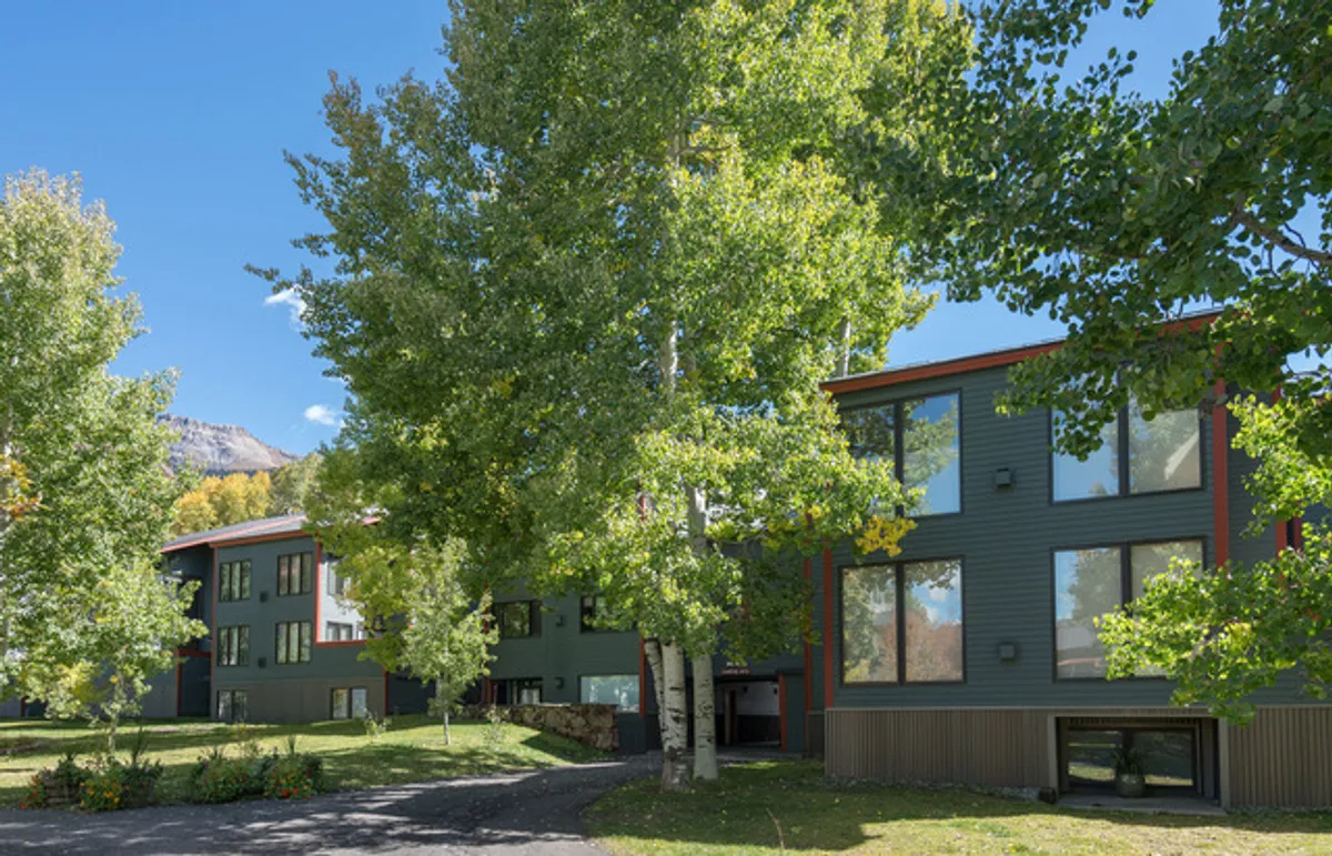 A peaceful exterior shot revealing green trees, a modern building with large windows, and inviting outdoor areas. The setting is ideal for outdoor relaxation, picnics, or gathering with neighbors in a communal green space.
